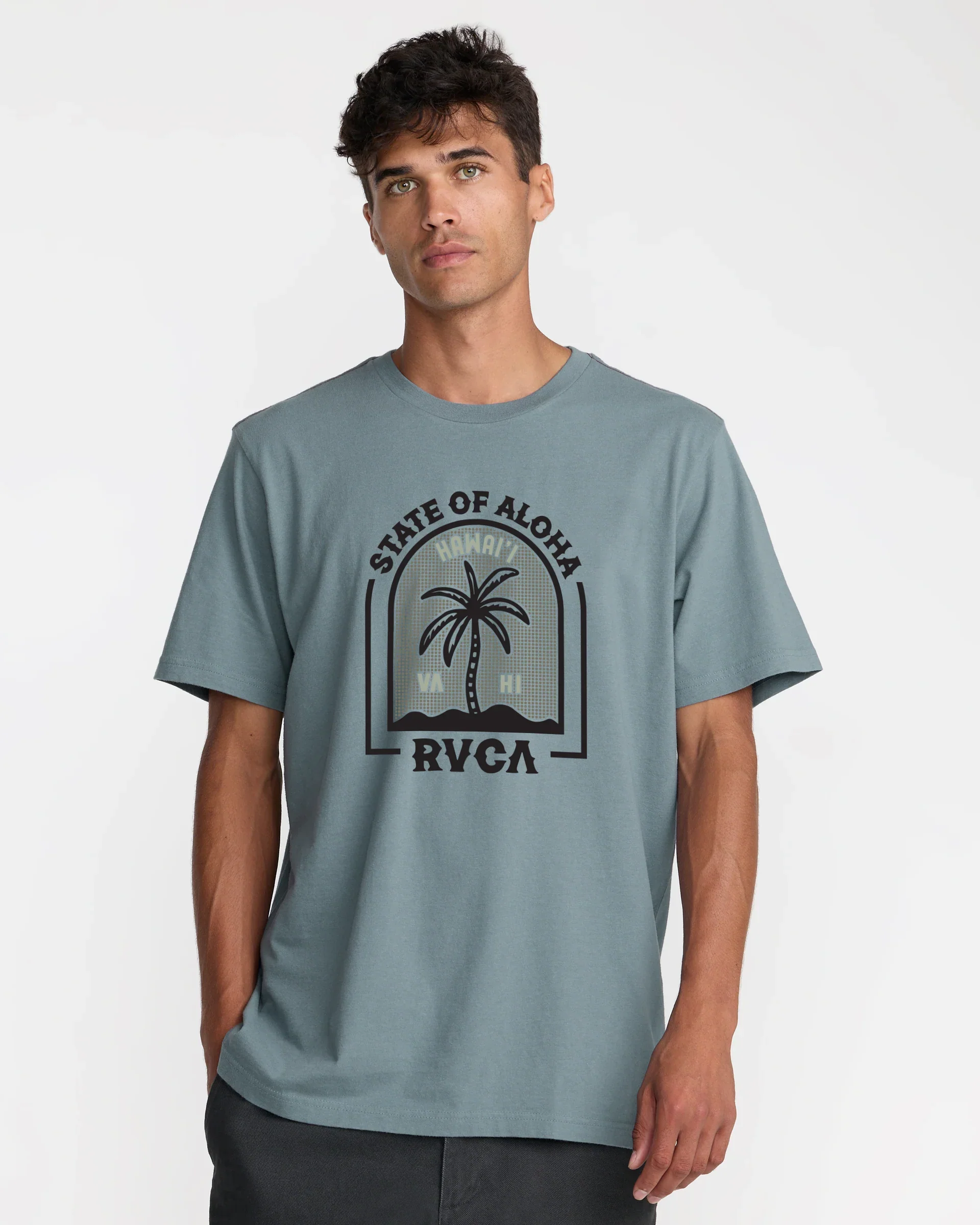RVCA HAWAII HEADSTONE TEE -  (LED)